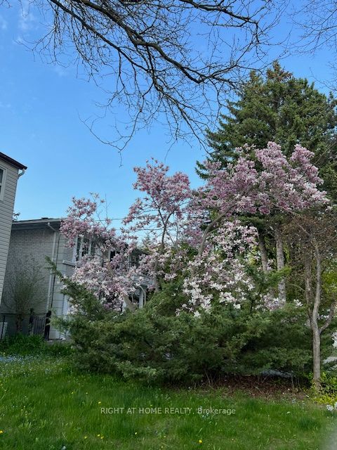 144 Wedgewood Drive, Toronto, ON M2M 2H7