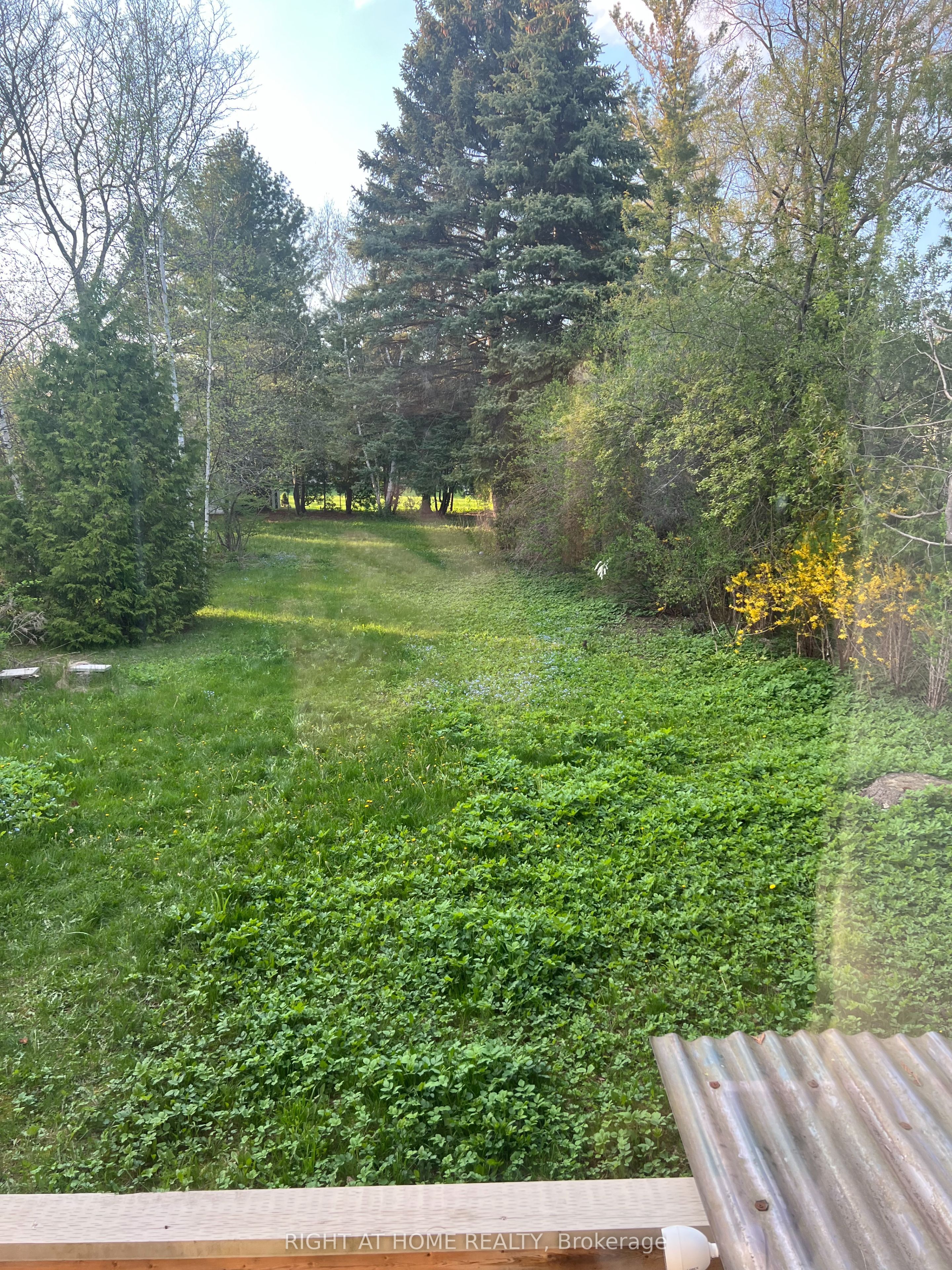 144 Wedgewood Drive, Toronto, ON M2M 2H7 photo 3
