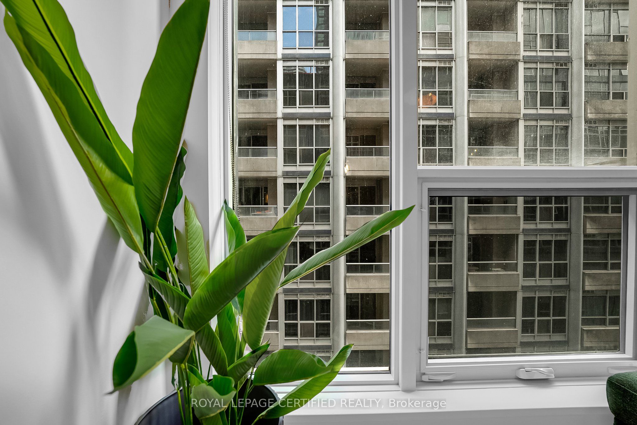 15 Mercer Street 705, Toronto, ON M5V 0T8 photo 5