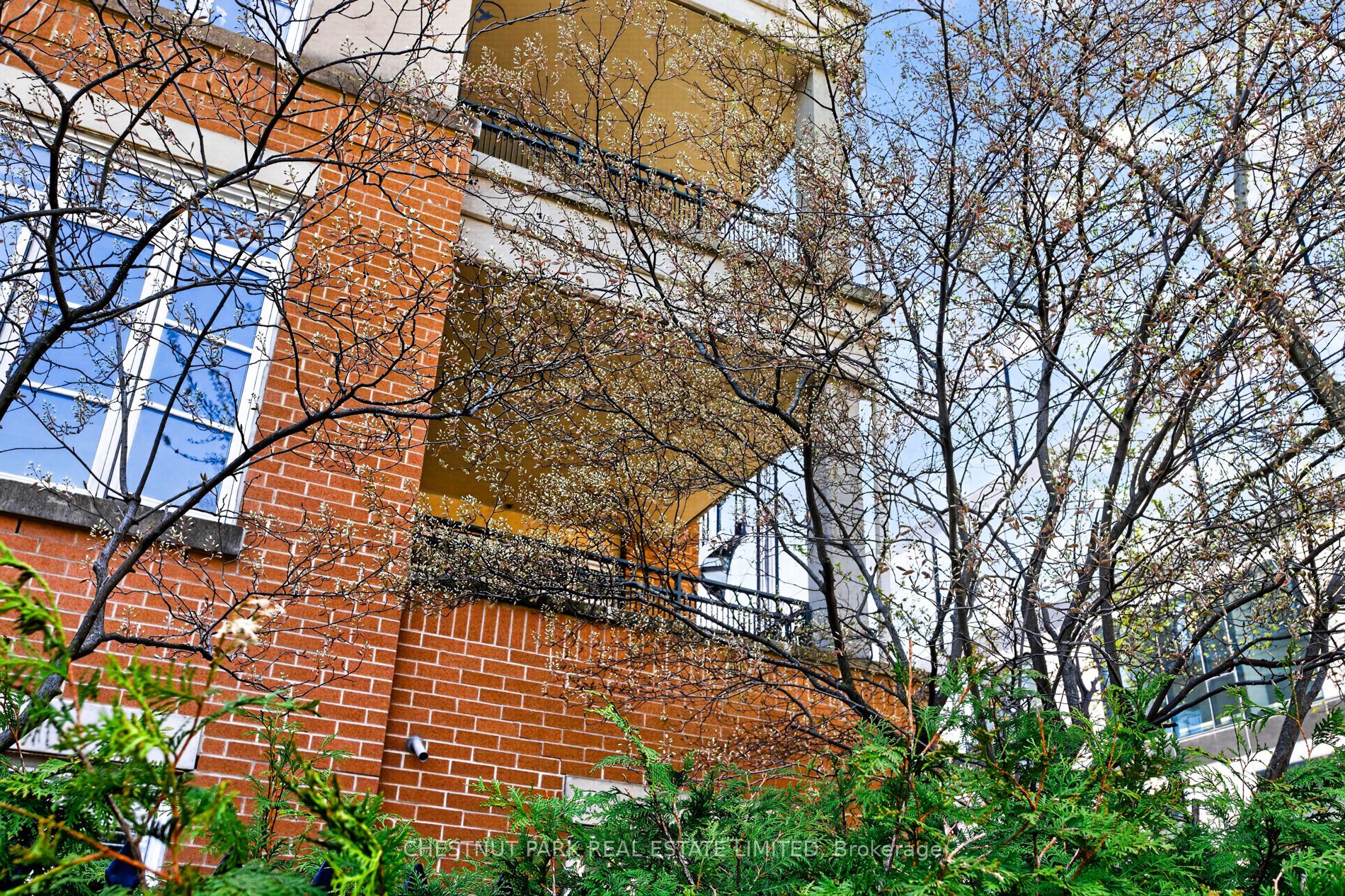 21 Shaftesbury Avenue 203, Toronto, ON M4T 3B4 photo 3