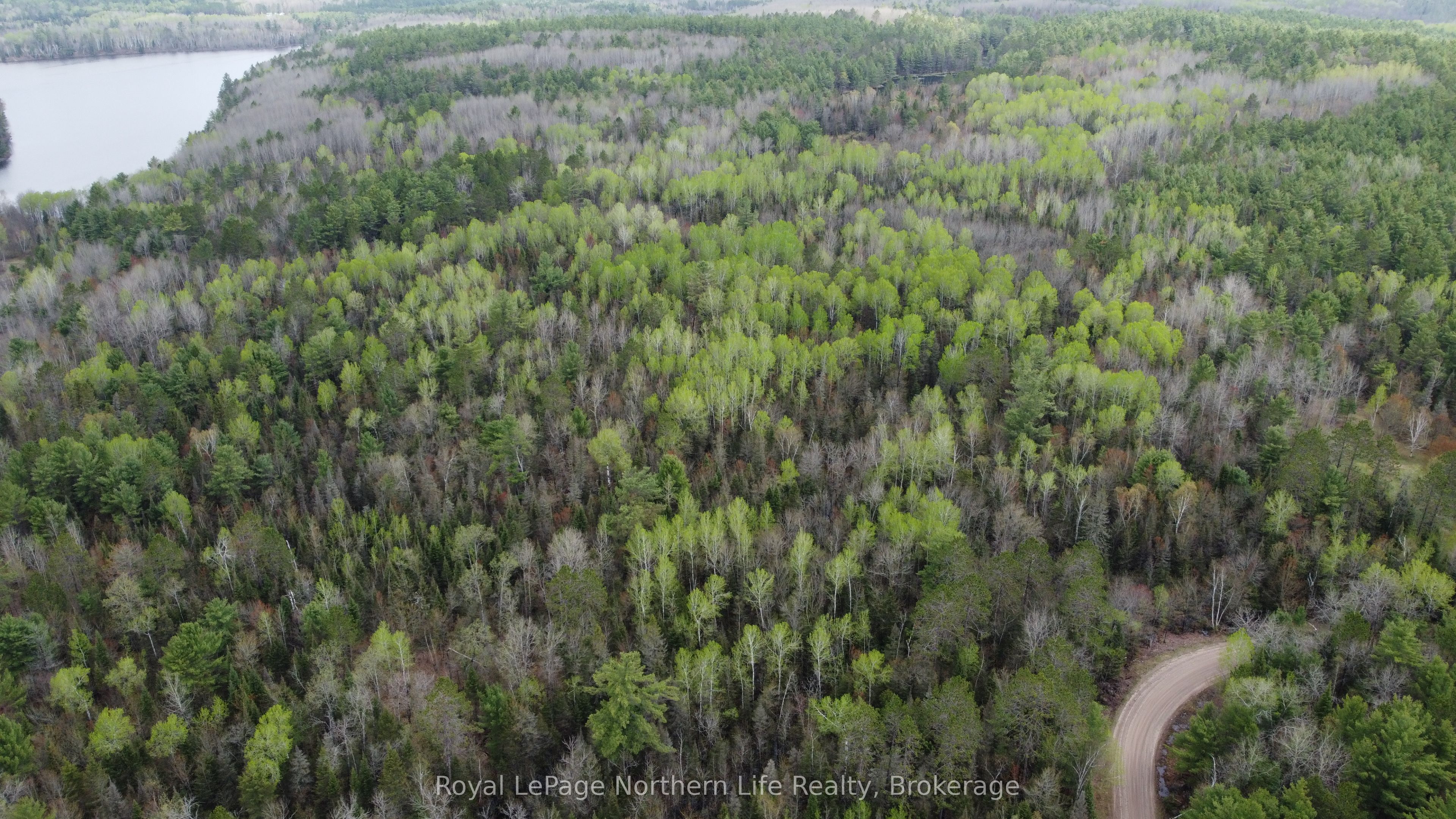 LOT 16 PART 2, SUZANNES Road, Calvin, ON P0H 1V0 photo 4