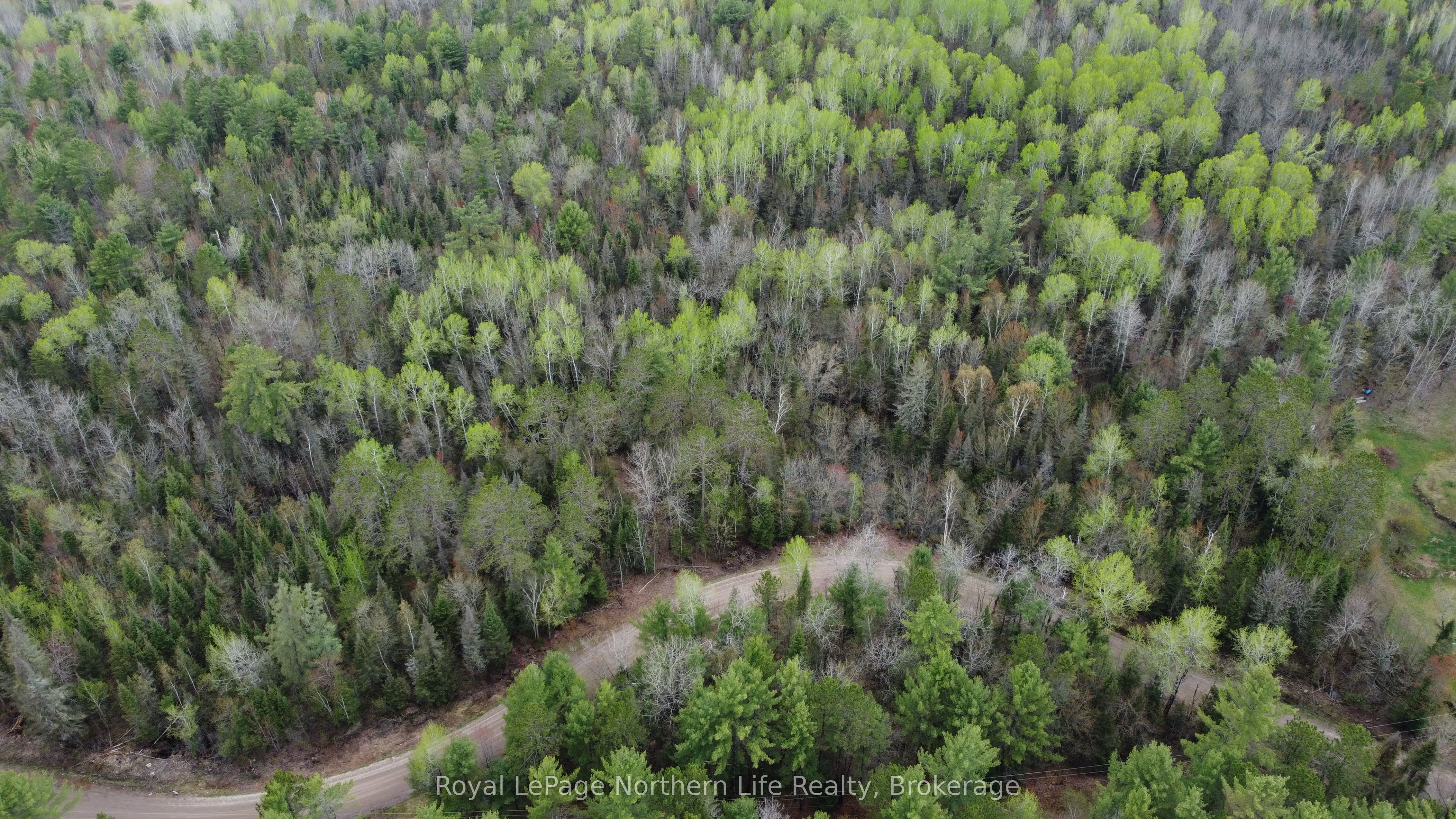 LOT 16 PART 2, SUZANNES Road, Calvin, ON P0H 1V0 photo 5