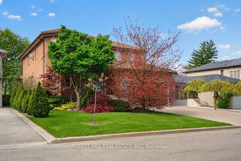 162 Codsell Avenue, Toronto, ON M3H 3W6 photo 3