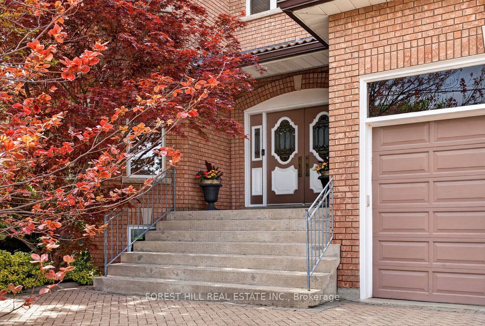 162 Codsell Avenue, Toronto, ON M3H 3W6 photo 5
