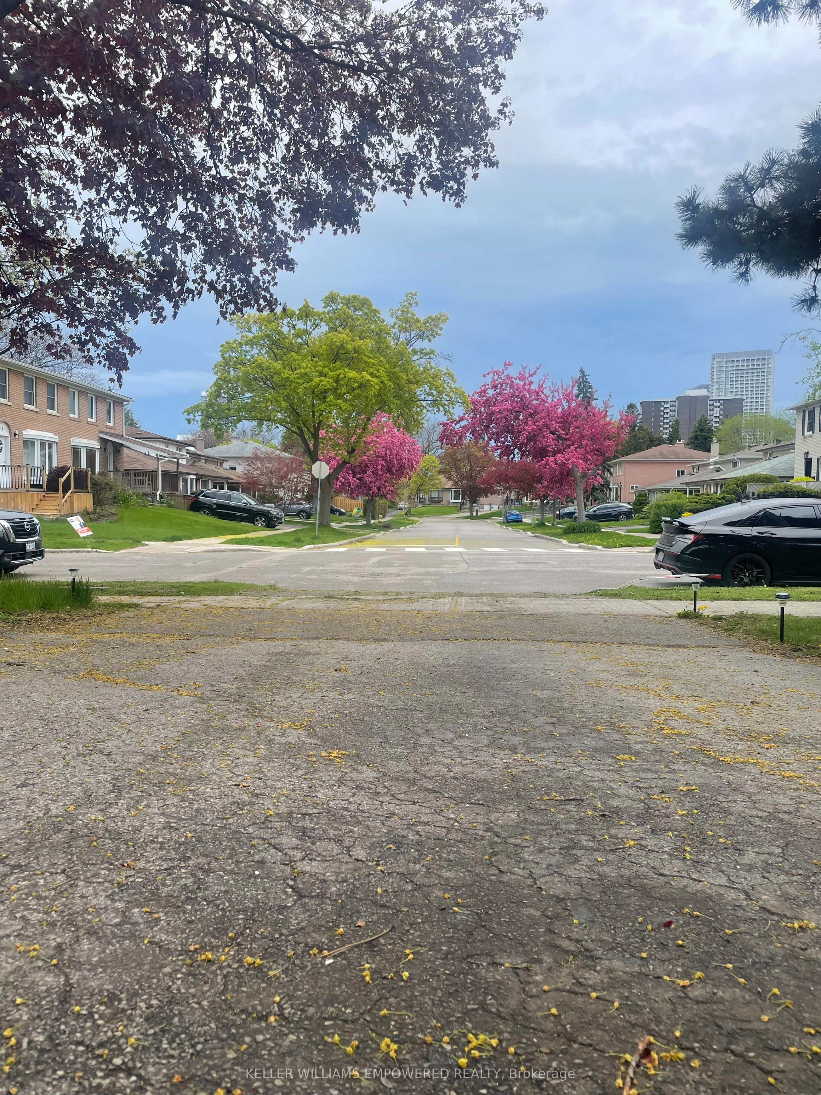 52 Endsleigh Crescent, Toronto, ON M2J 3N6 photo 3