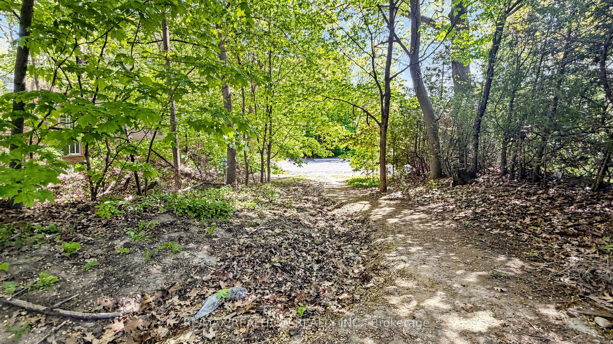 239 Sandringham Drive, Toronto, ON M3H 1G2 photo 4