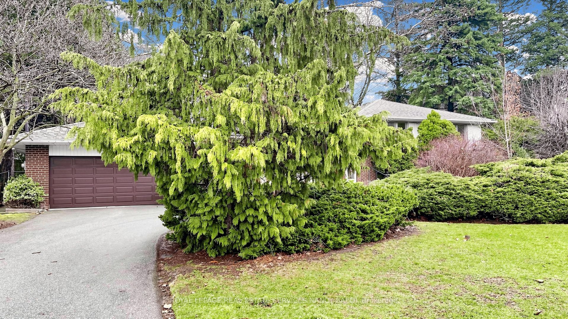 2 Colvestone Road, Toronto, ON M2L 1X3 photo 5