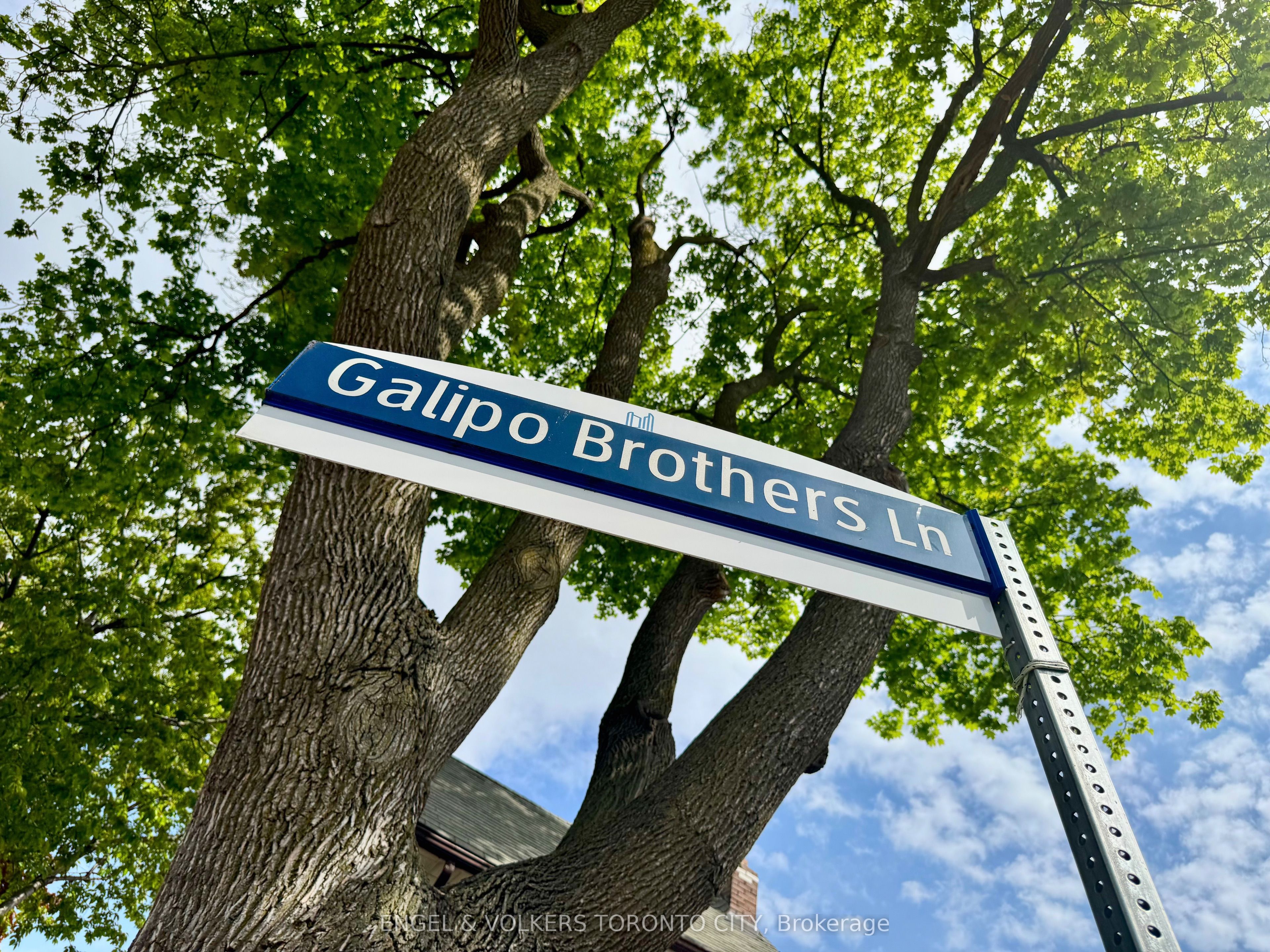216 Montrose Avenue, Toronto, ON M6G 3G7 photo 5
