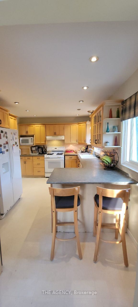 69 Silas Hill Drive Upper, Toronto, ON M2J 2X8 photo 4
