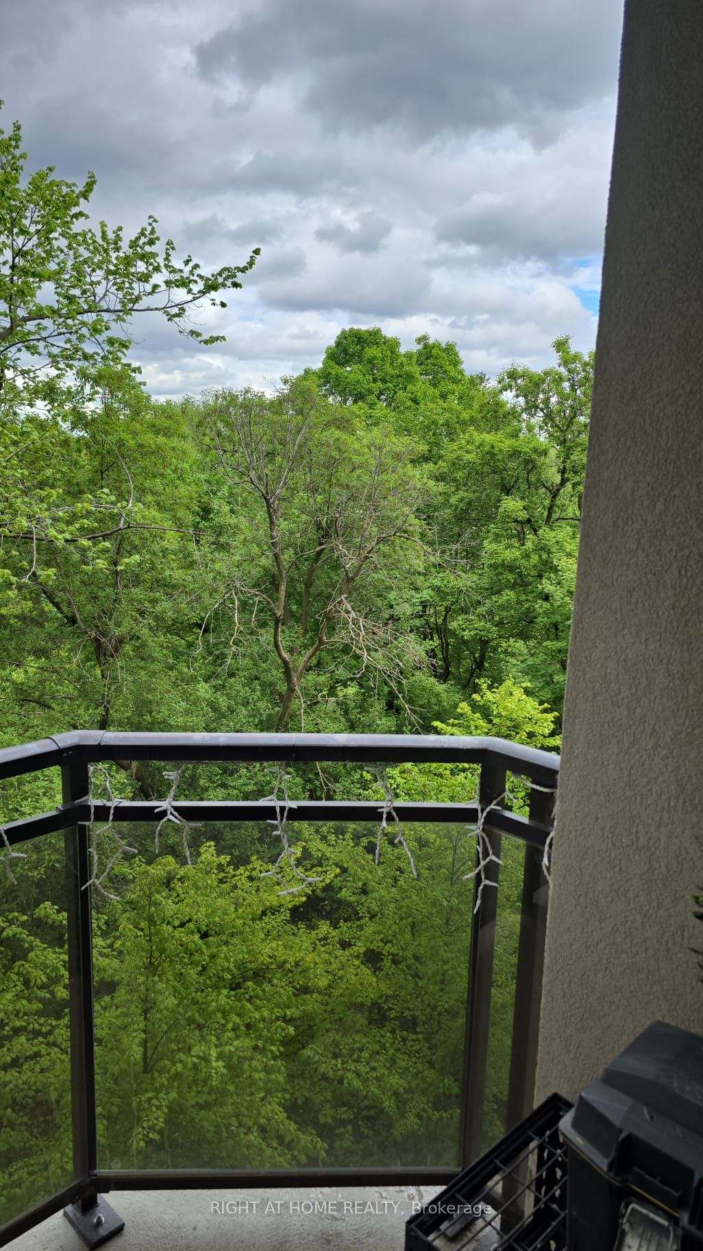 233 Faywood Boulevard, Toronto, ON M3H 2Y3 photo 2