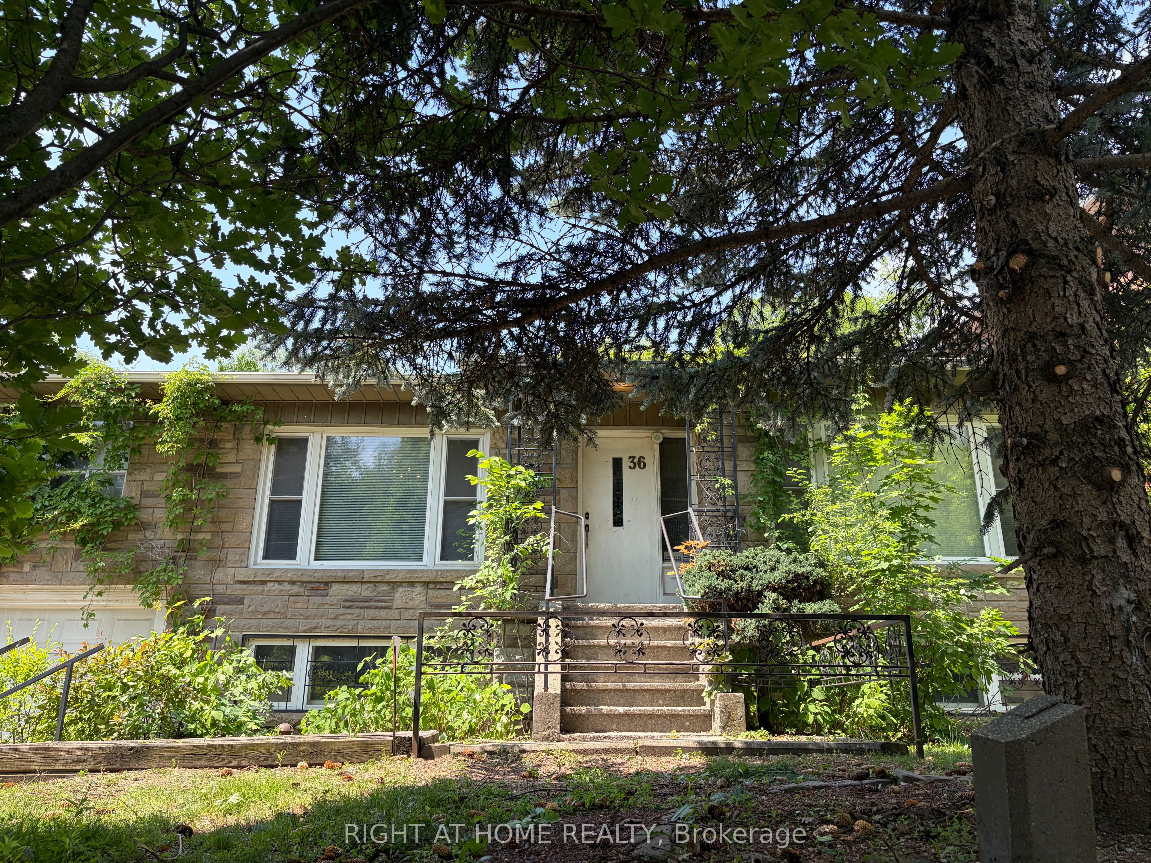 36 Forest Wood, Toronto, ON M5N 2V9 photo 3