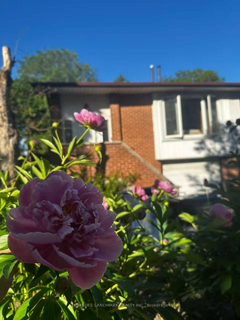 15 Harnworth Drive, Toronto, ON M2H 3C1 photo 2