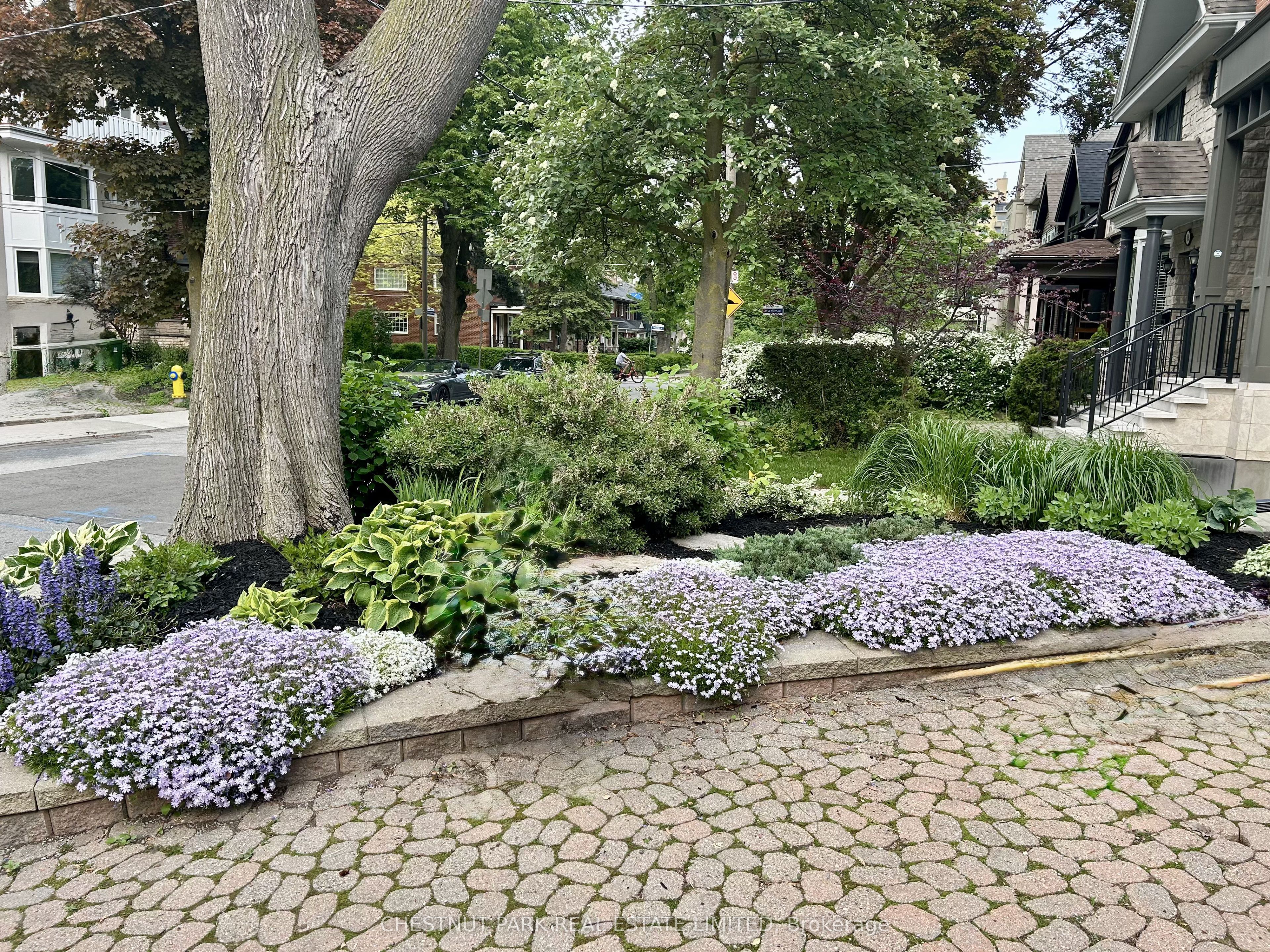 53 Gormley Avenue, Toronto, ON M4V 1Y9 photo 3
