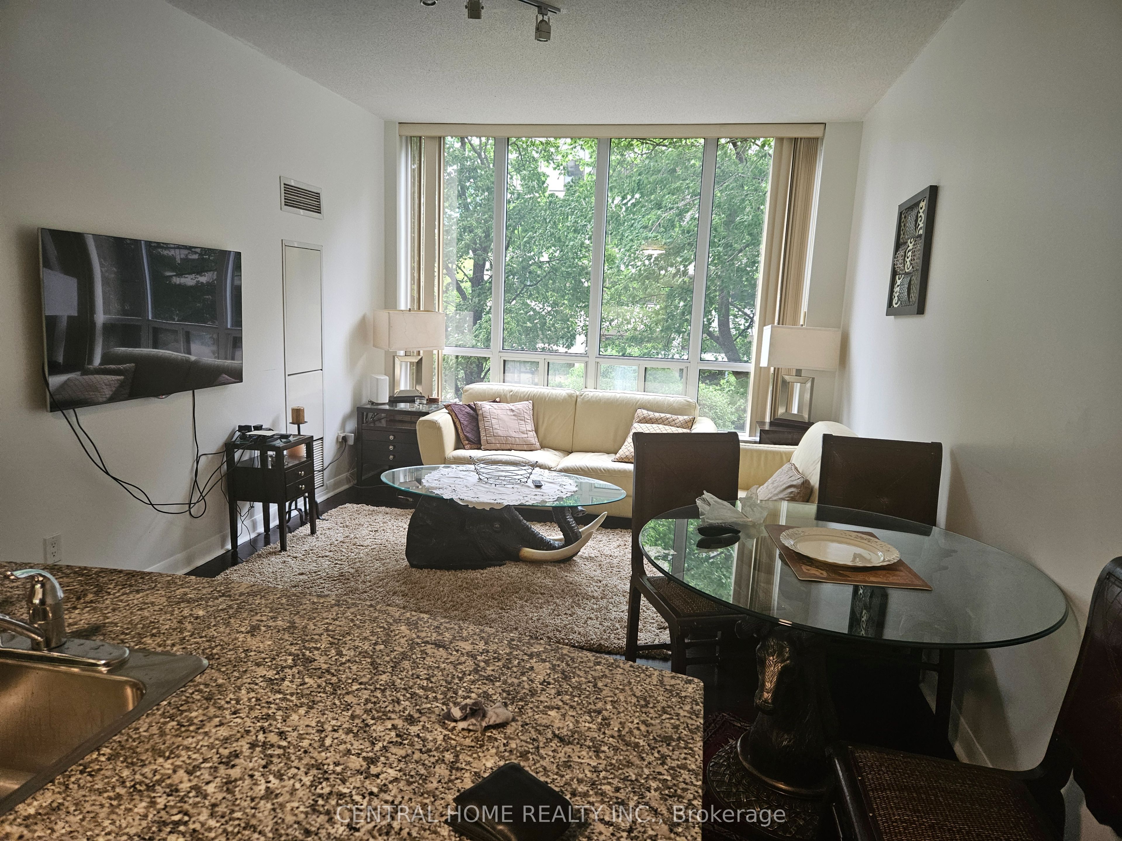 33 Shepperd Avenue E 211, Toronto, ON M2N 7K1 photo 5