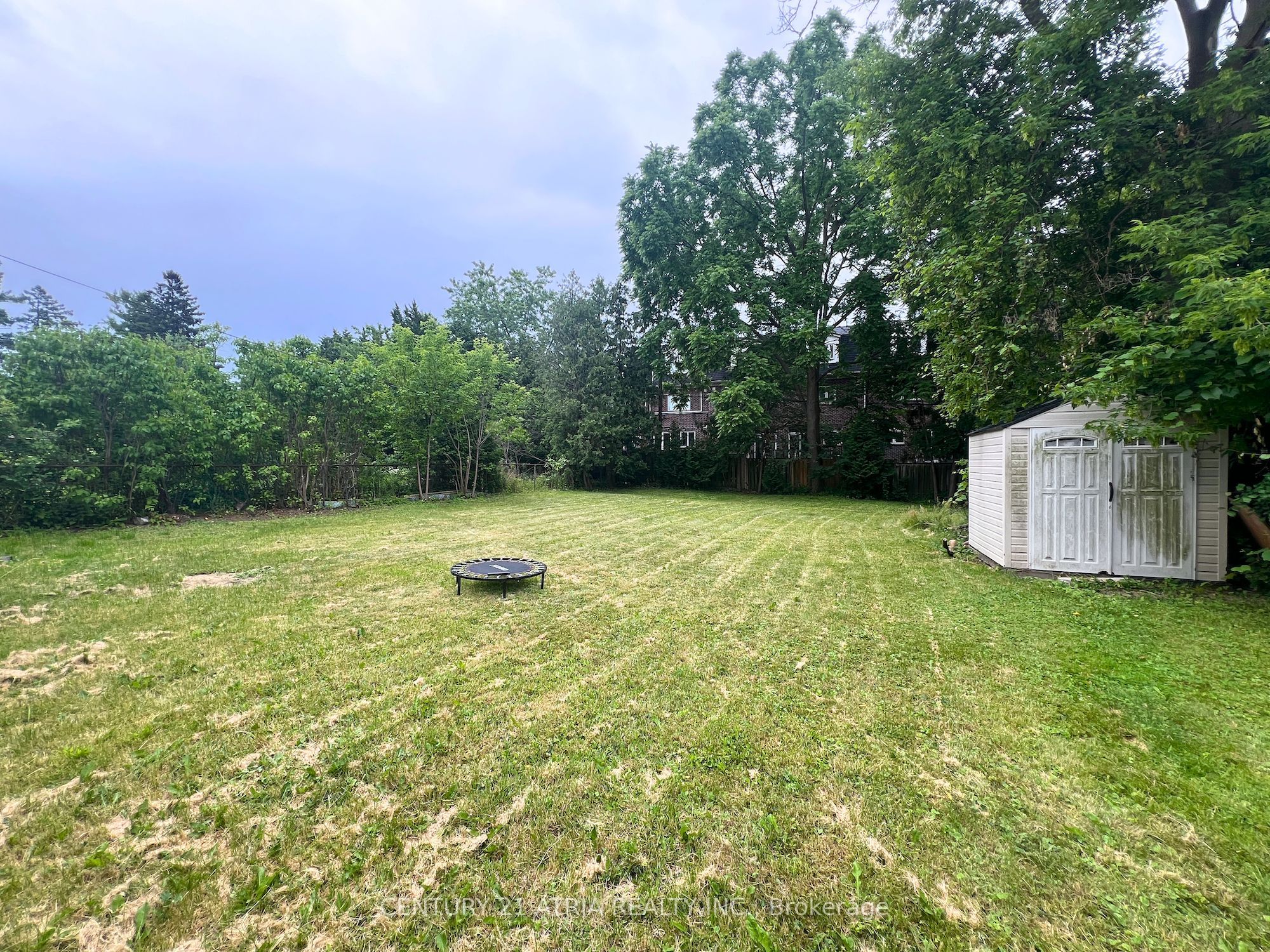 209 Hendon Avenue Bsmt, Toronto, ON M2M 1A9 photo 2