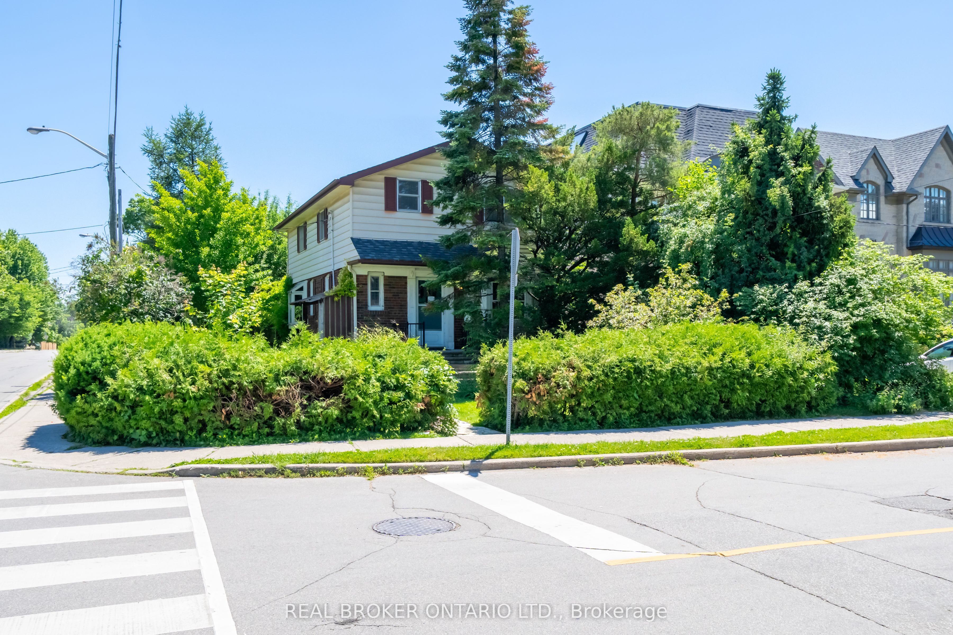 483 Melrose Avenue, Toronto, ON M5M 2A1 photo 3