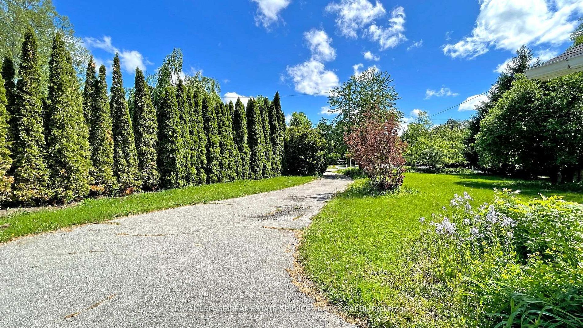 78 Arjay Crescent, Toronto, ON M2L 1C7 photo 4