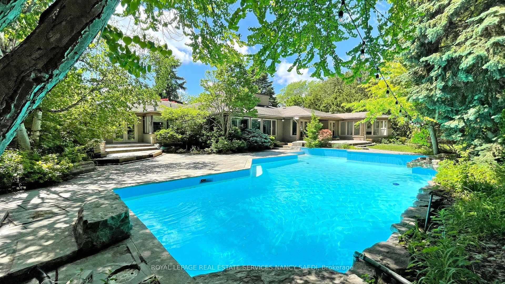 62 Wimpole Drive, Toronto, ON M2L 2L3 photo 3