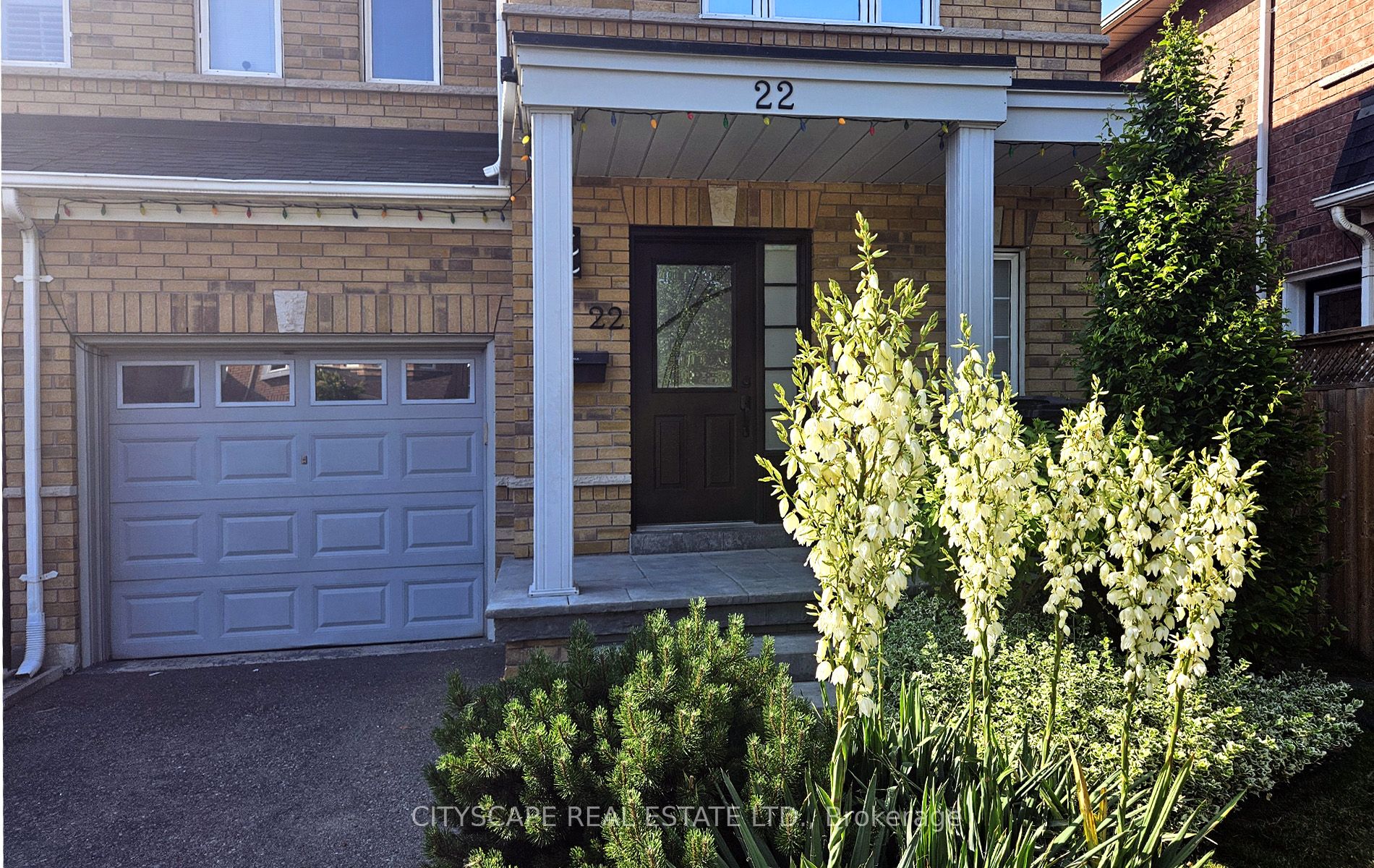 22 Windom Road, Toronto, ON M3C 3Z4 photo 3