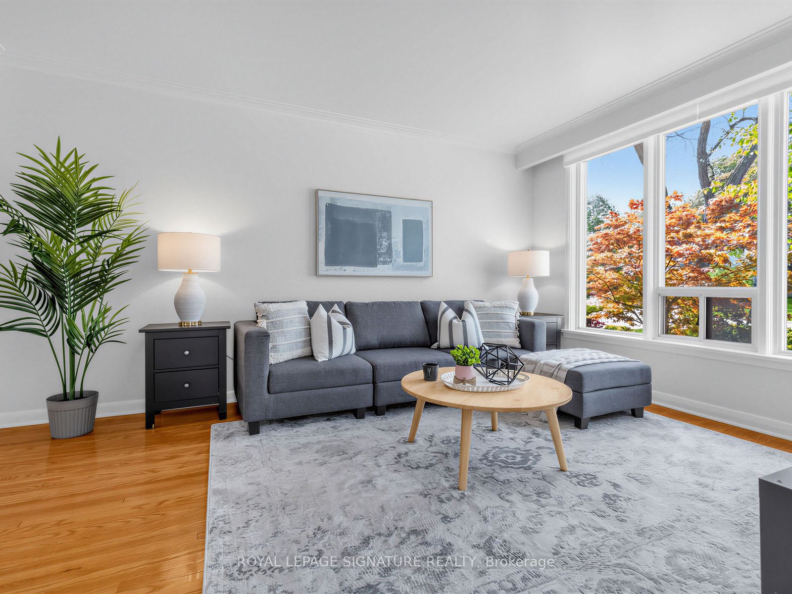 46 Plateau Crescent, Toronto, ON M3C 1M8 photo 5