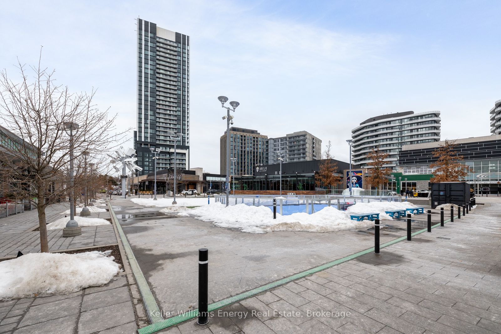 50 O'Neill Road 1208, Toronto, ON M3C 0R2 photo 3