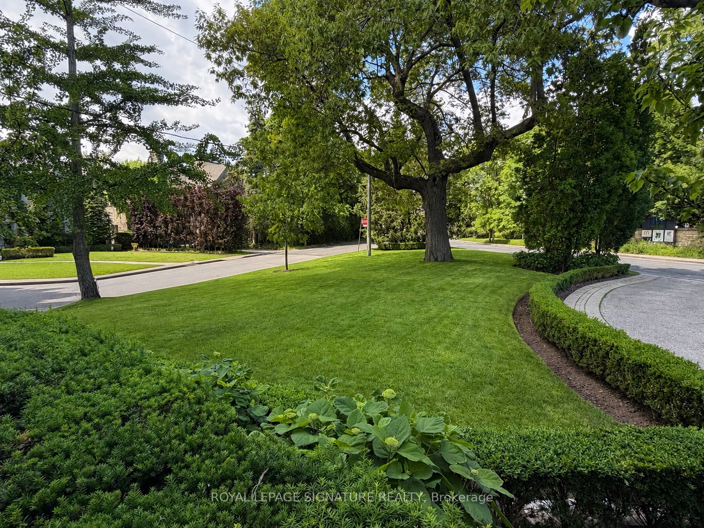 64 Old Forest Hill Road, Toronto, ON M5P 2R2 photo 3