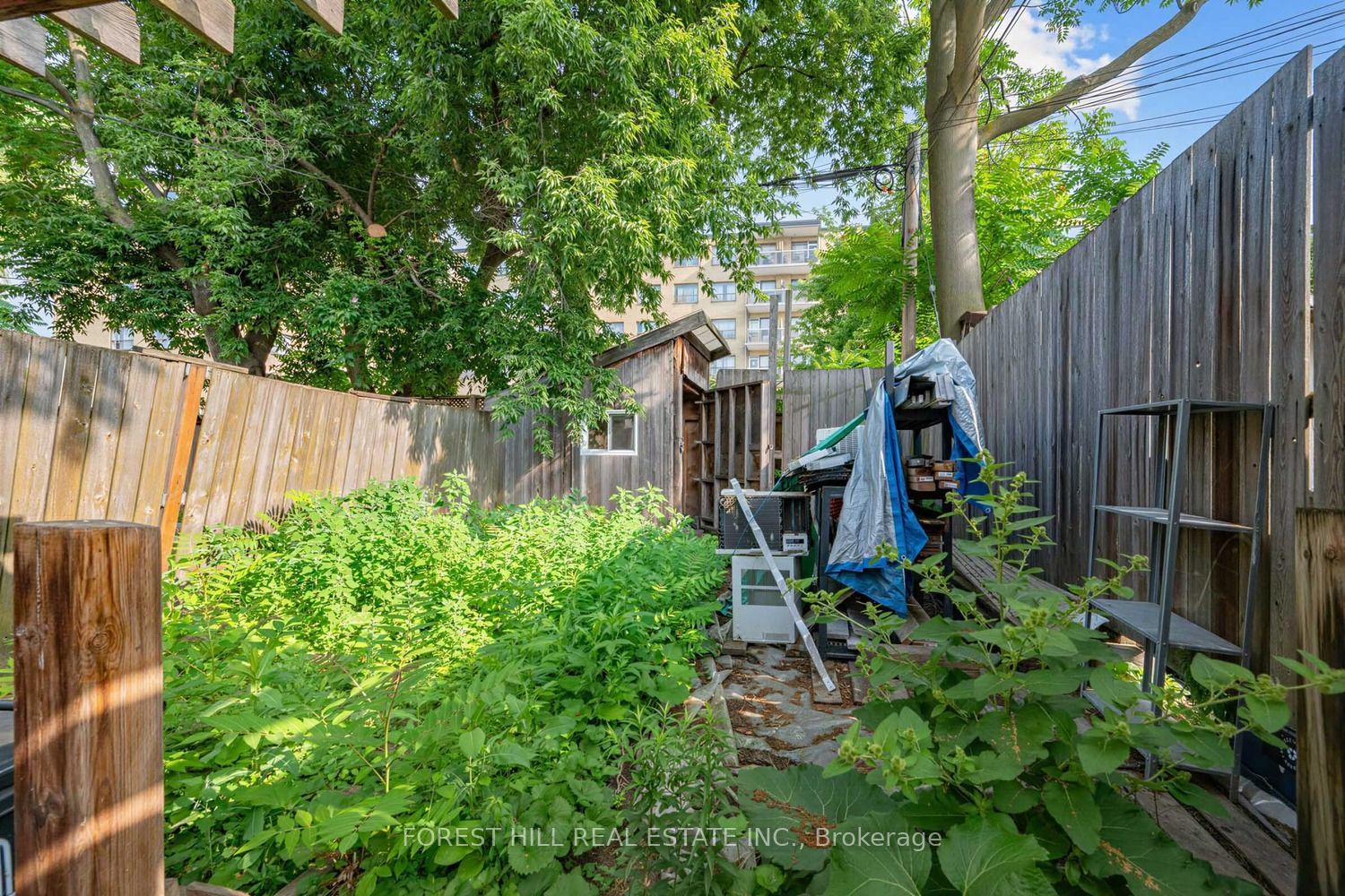 2 Mulberry Crescent, Toronto, ON M6C 1N5 photo 3
