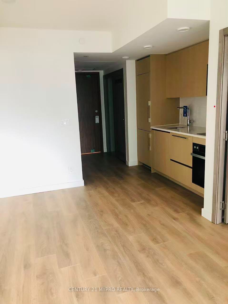 38 Widmer Street 1905, Toronto, ON M5V 0P7 photo 2