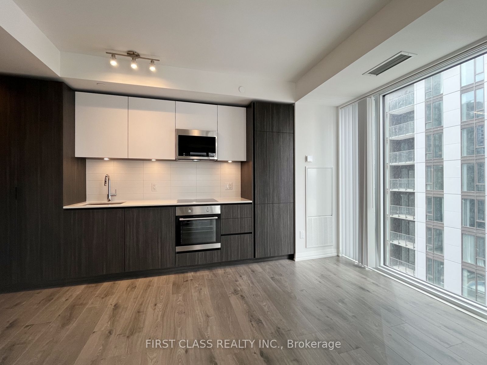 8 Widmer Street 3905, Toronto, ON M5V 2E7 photo 4