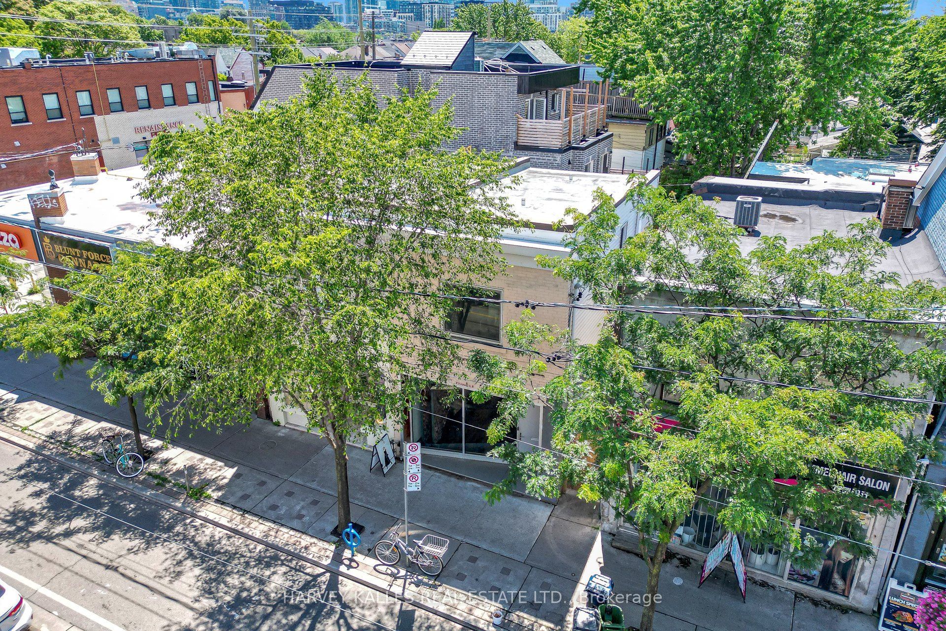 819 Dundas Street W, Toronto, ON M6J 1V4 photo 4
