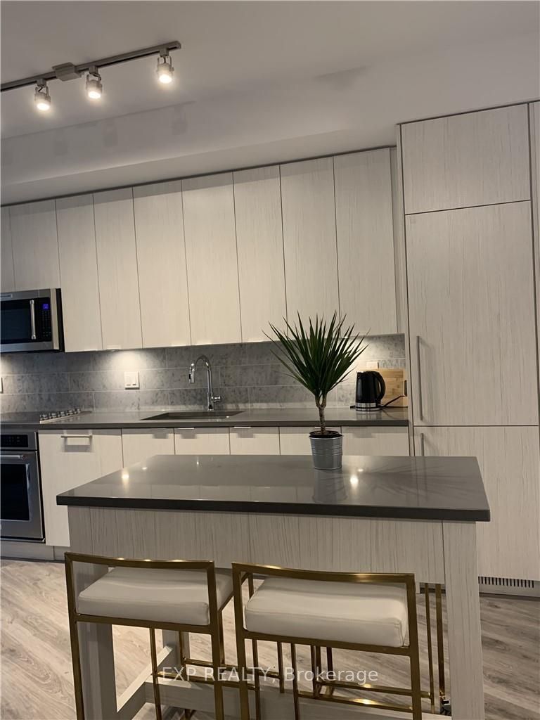 38 Iannuzzi Street 509, Toronto, ON M5V 0S2 photo 4