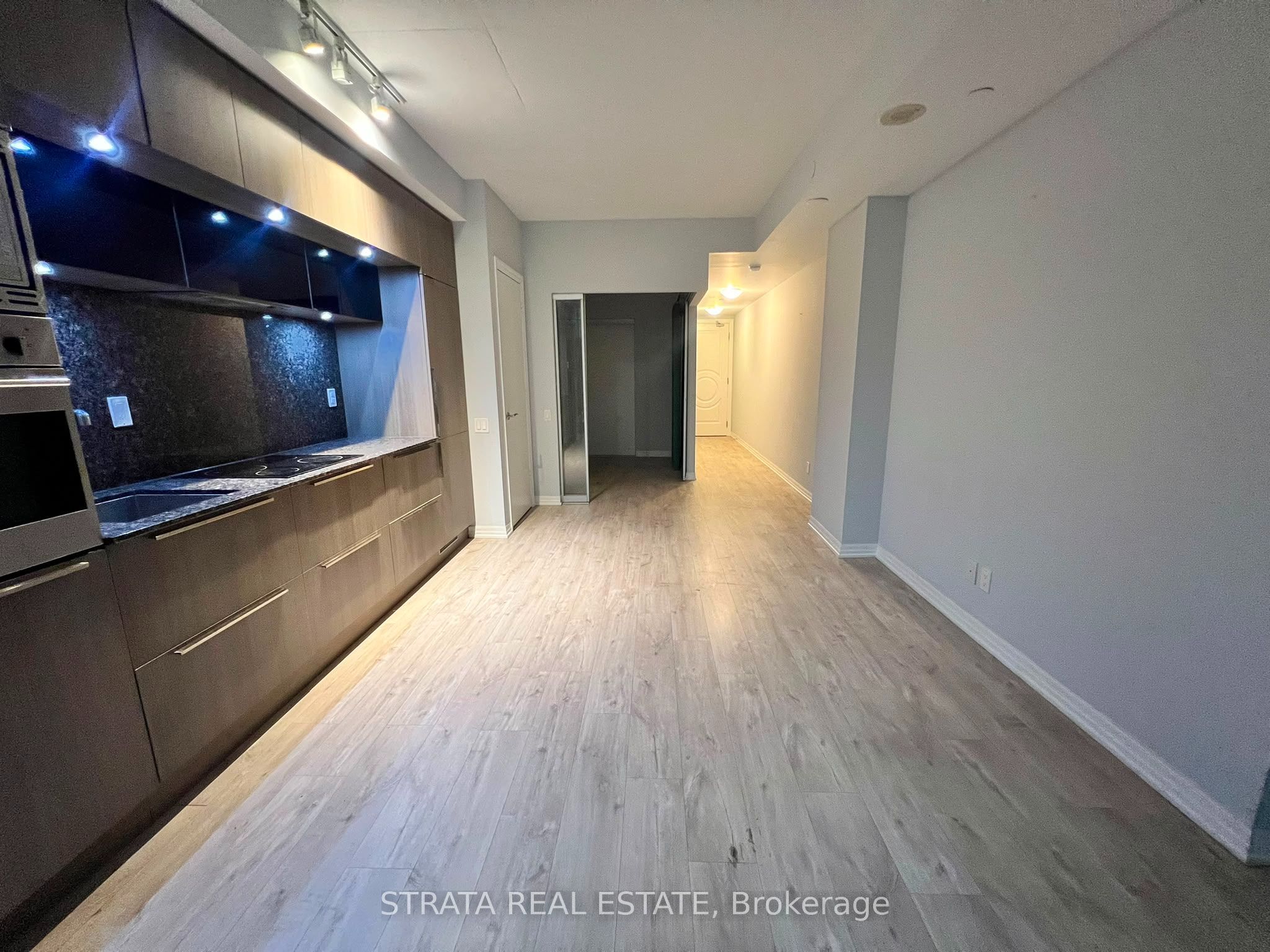 88 Blue Jays Way 1114, Toronto, ON M5V 2G3 photo 5