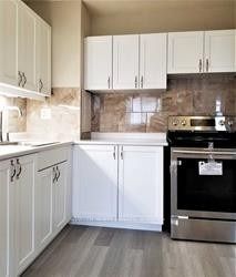 10 Sunny Glenway Way 807, Toronto, ON M3C 2Z3 photo 5