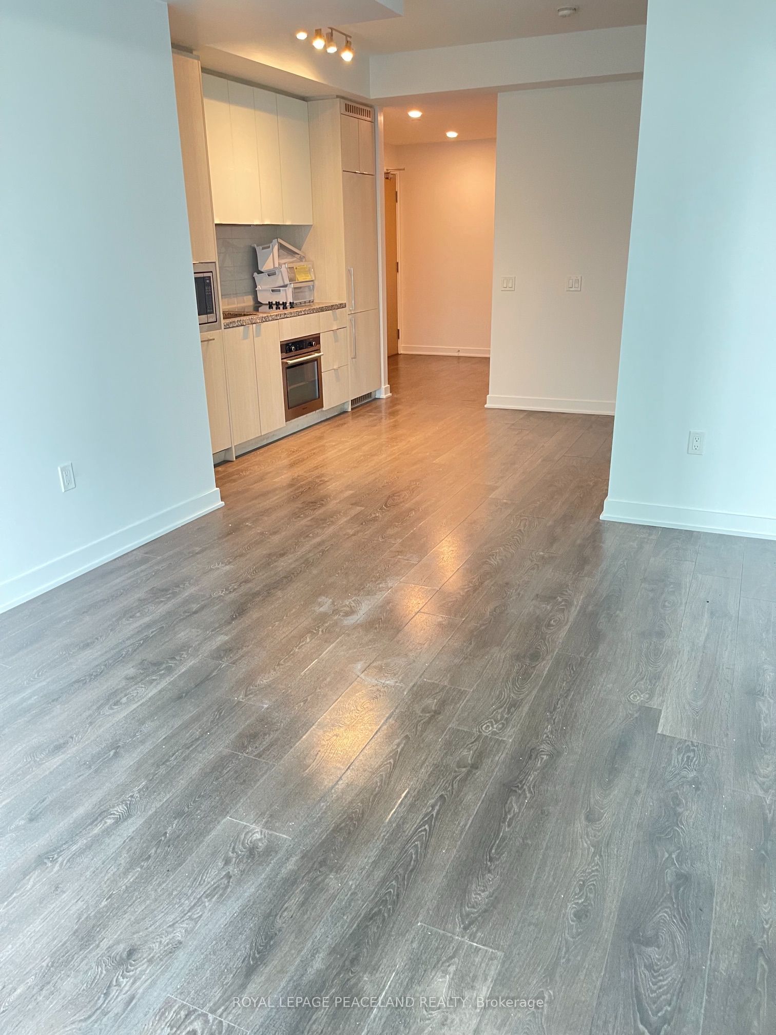 125 Blue Jays Way 1105, Toronto, ON M5V 0N5 photo 3