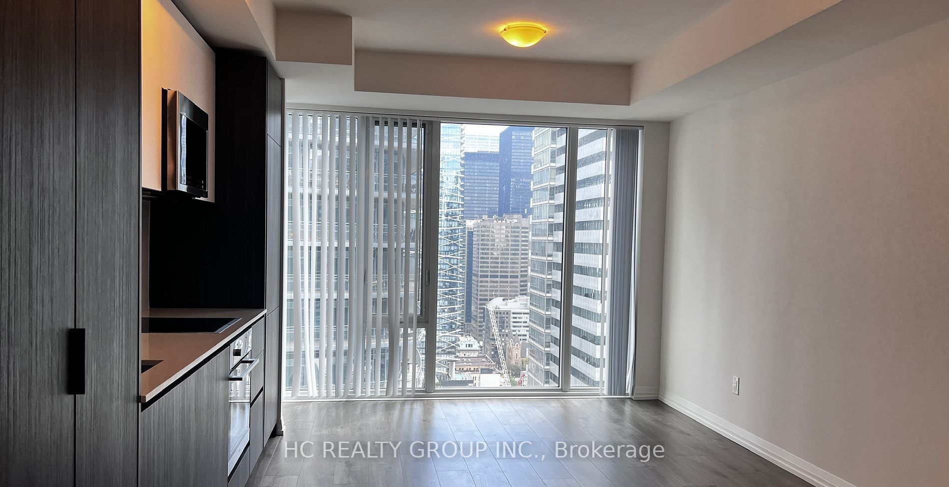 8 Widmer Street, Toronto, ON M5V 0W6 photo 4