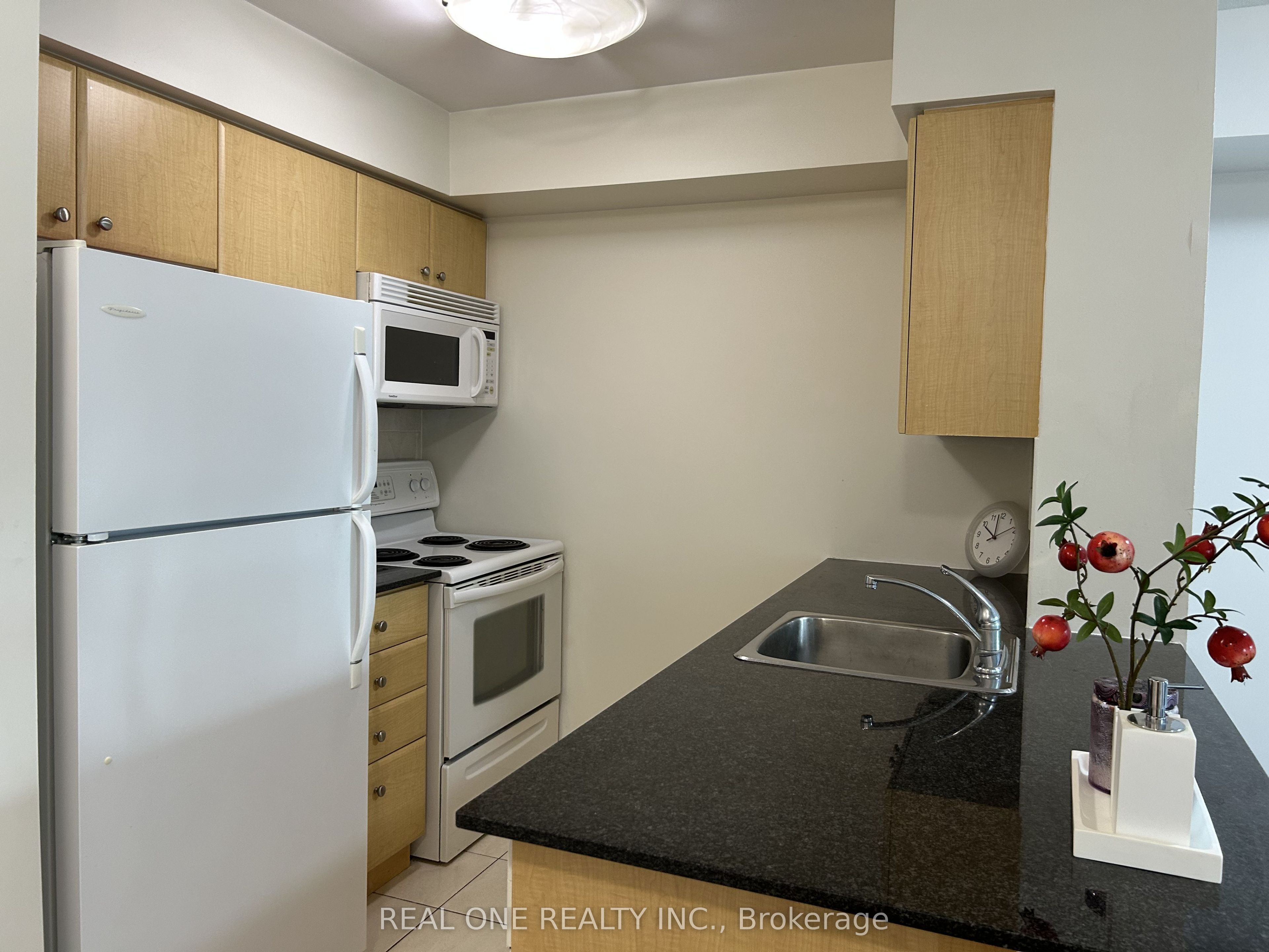 31 Bales Avenue 1607, Toronto, ON M2N 7L6 photo 5