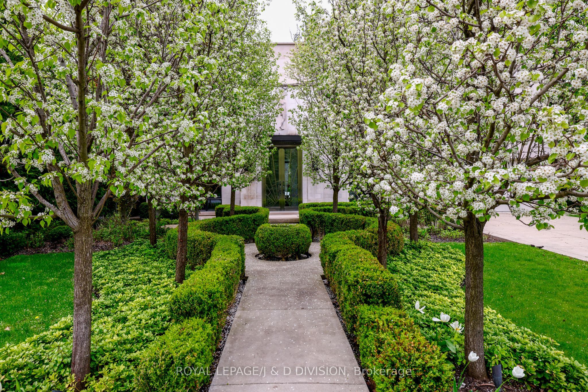20 Forest Glen Crescent, Toronto, ON M4N 2E8 photo 4