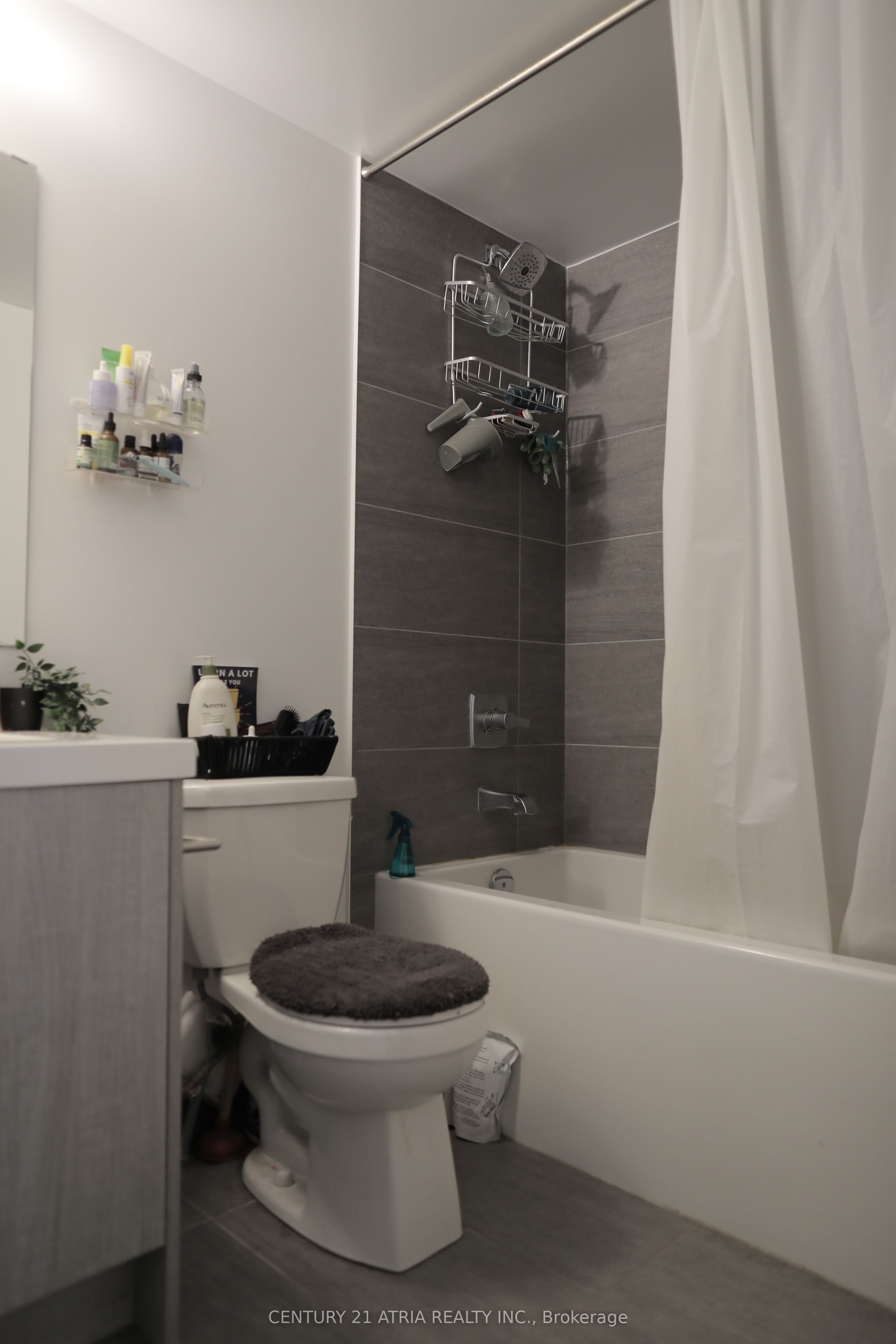 77 Mutual Street 2403, Toronto, ON M5B 0B9 photo 5