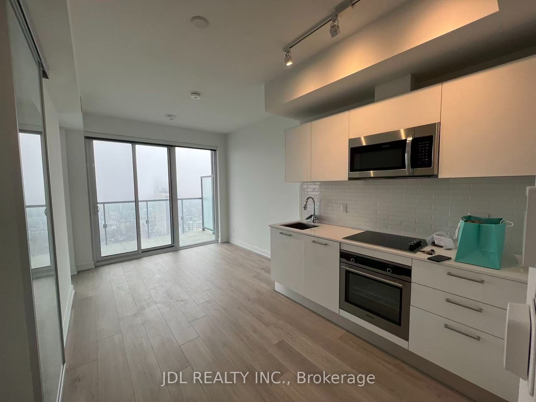 3 Gloucester Street 3203, Toronto, ON M4Y 0C6 photo 2