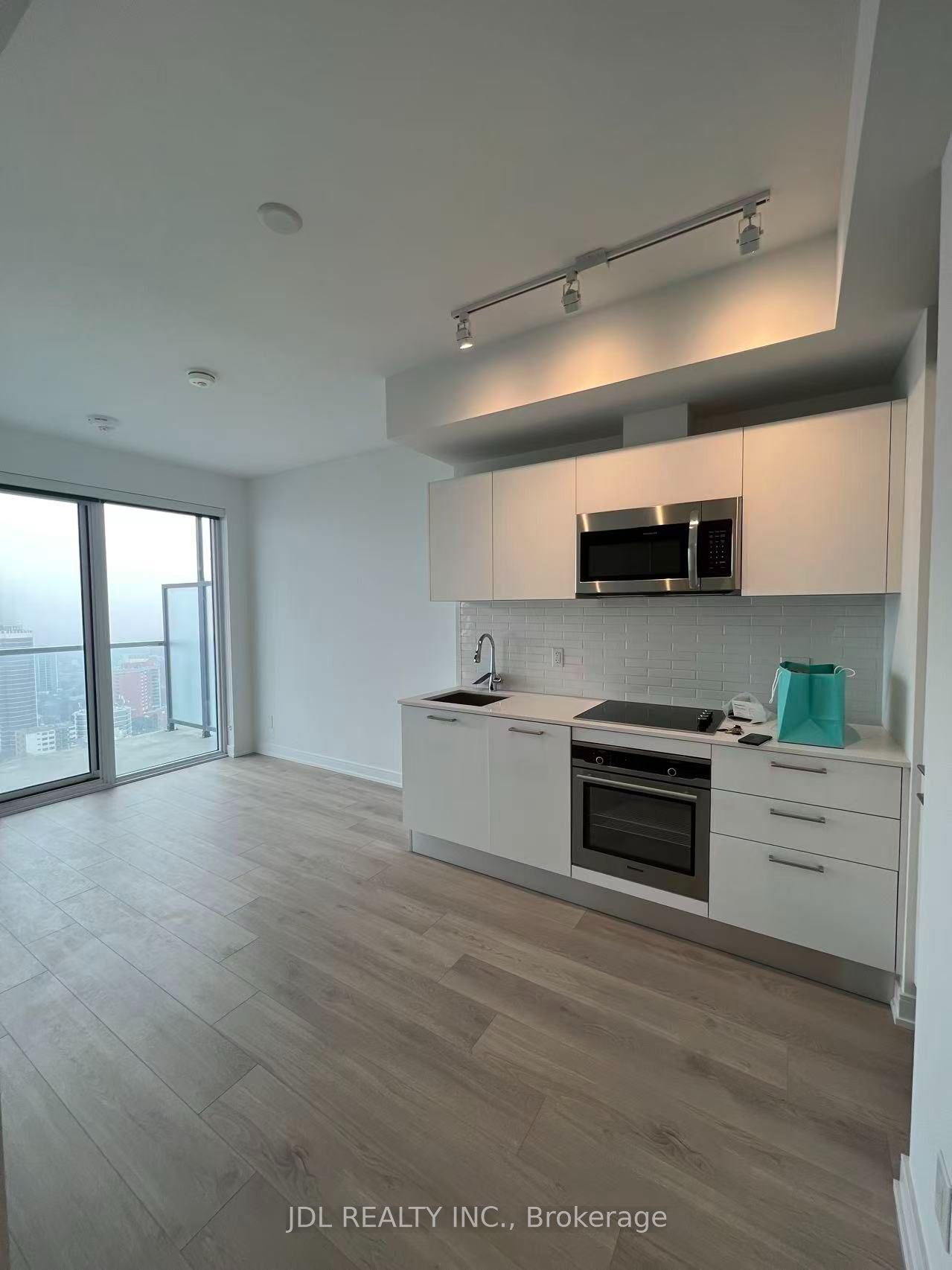 3 Gloucester Street 3203, Toronto, ON M4Y 0C6 photo 3