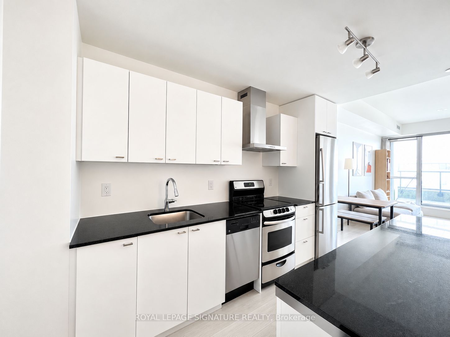 51 East Liberty Street 509, Toronto, ON M6K 3P8 photo 4