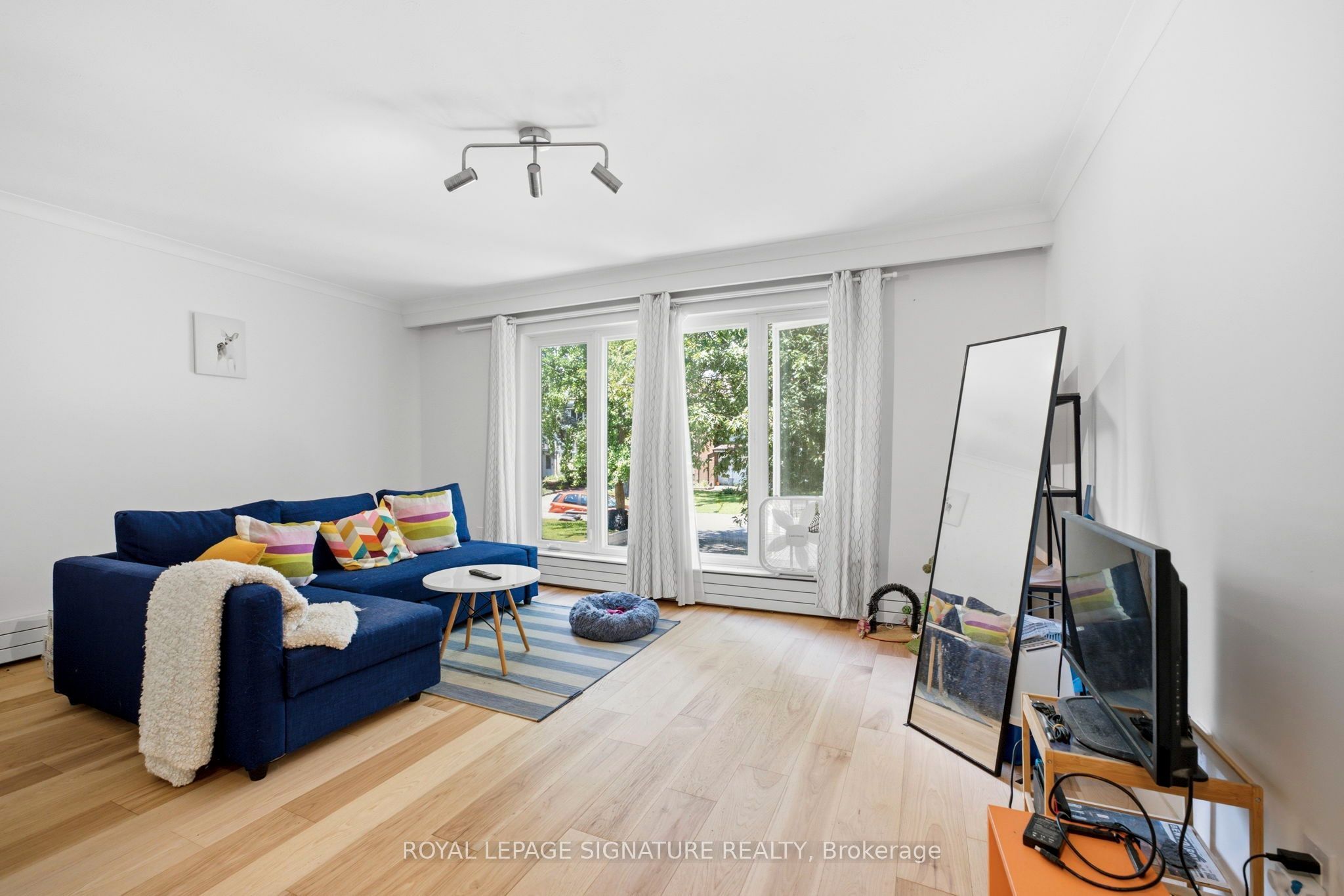 293 Glenforest Road MAIN, Toronto, ON M4N 2A5 photo 4