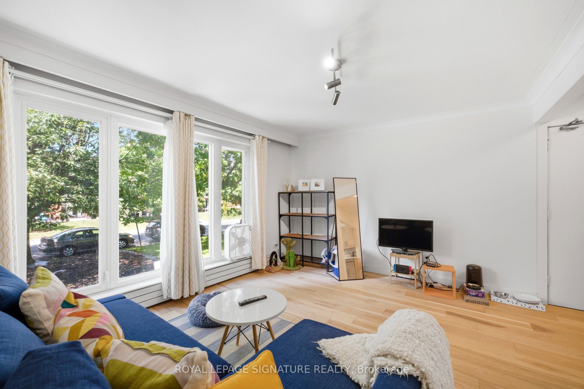 293 Glenforest Road MAIN, Toronto, ON M4N 2A5 photo 5