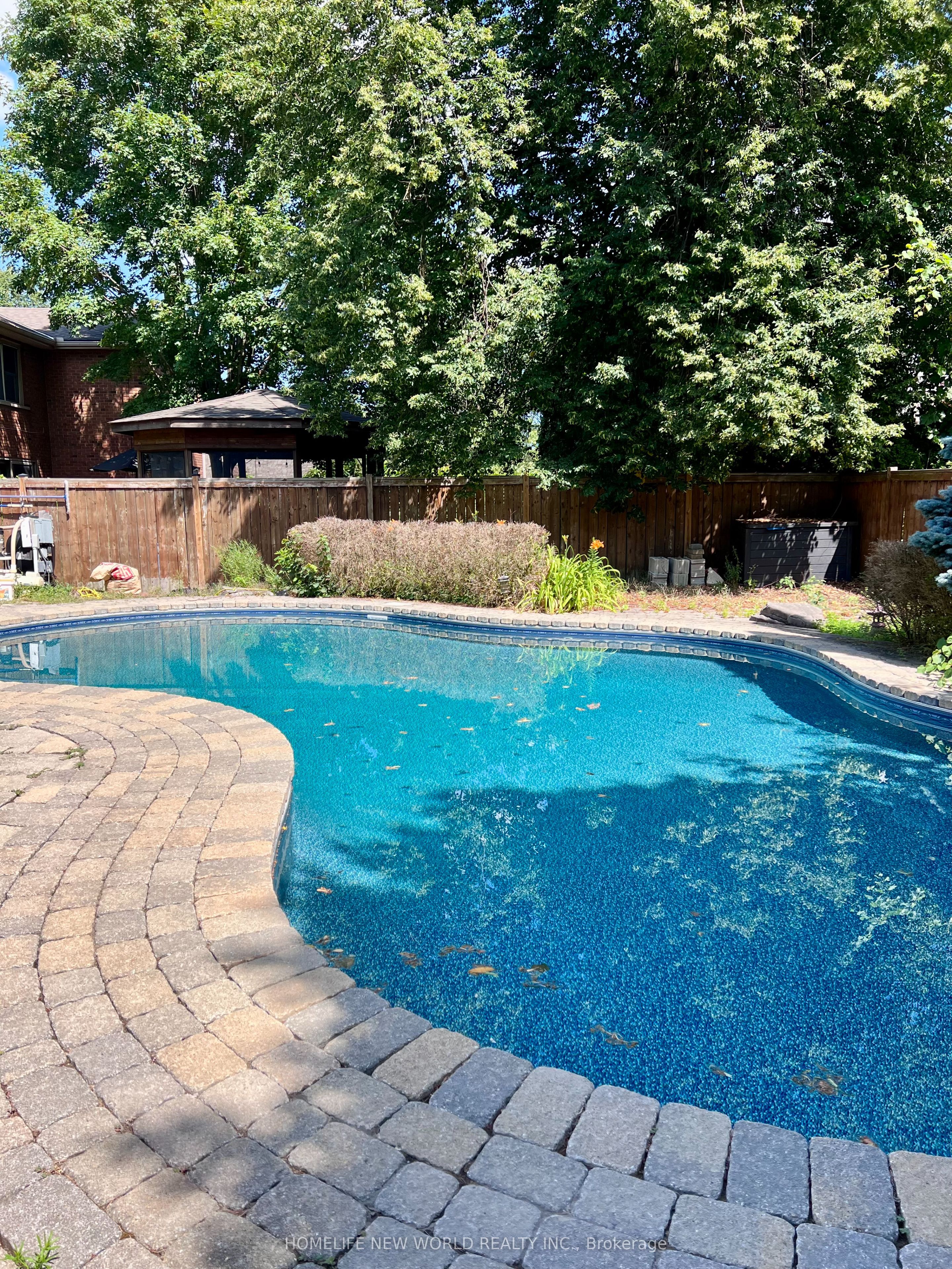 5 Junewood Crescent, Toronto, ON M2L 2C3 photo 2