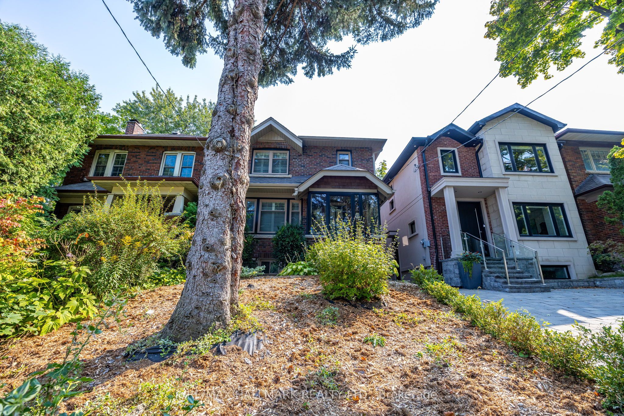 15 Mcnairn Avenue, Toronto, ON M5M 2H4