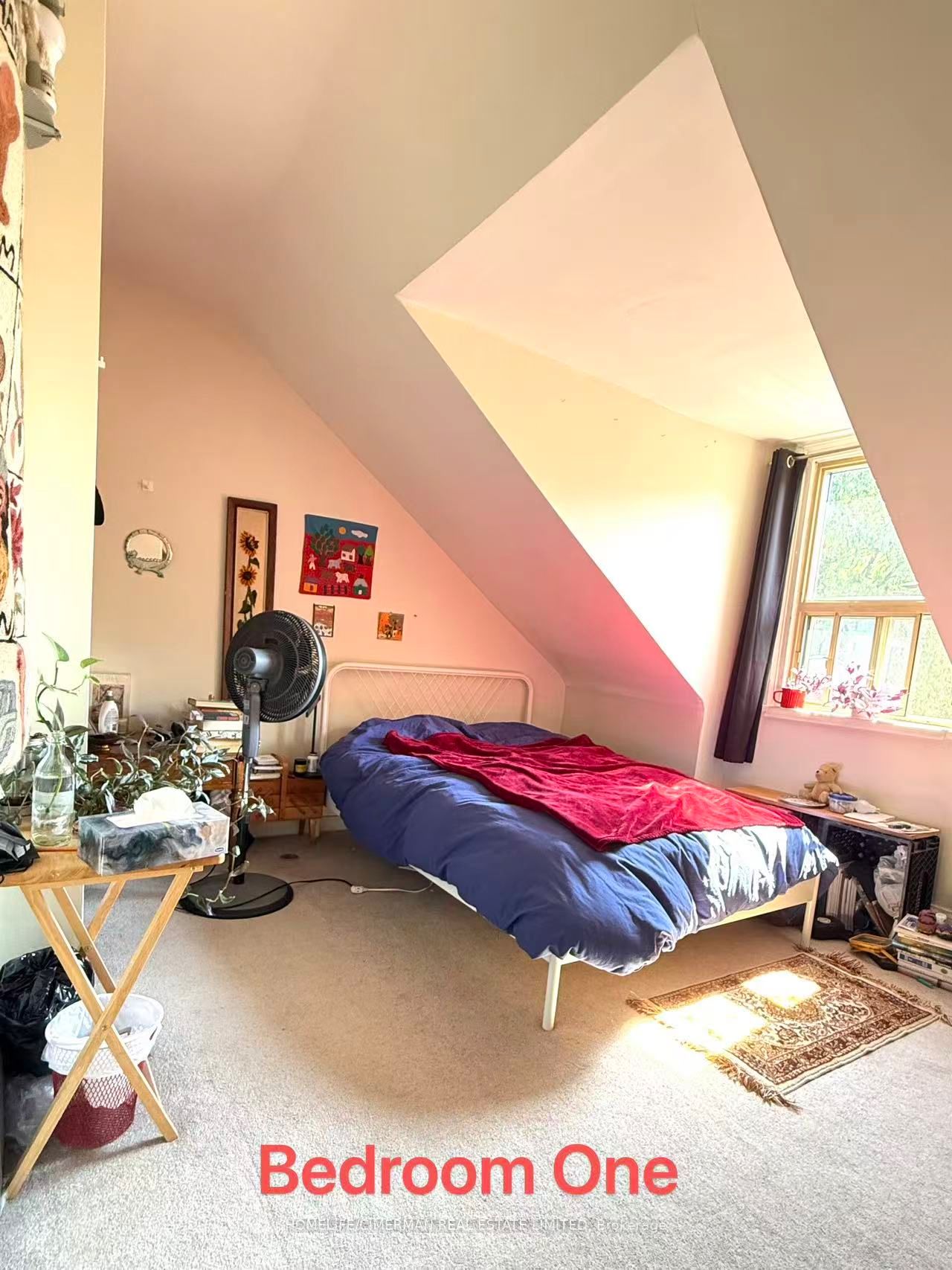 6 Givins Street upper, Toronto, ON M6J 2X6 photo 5