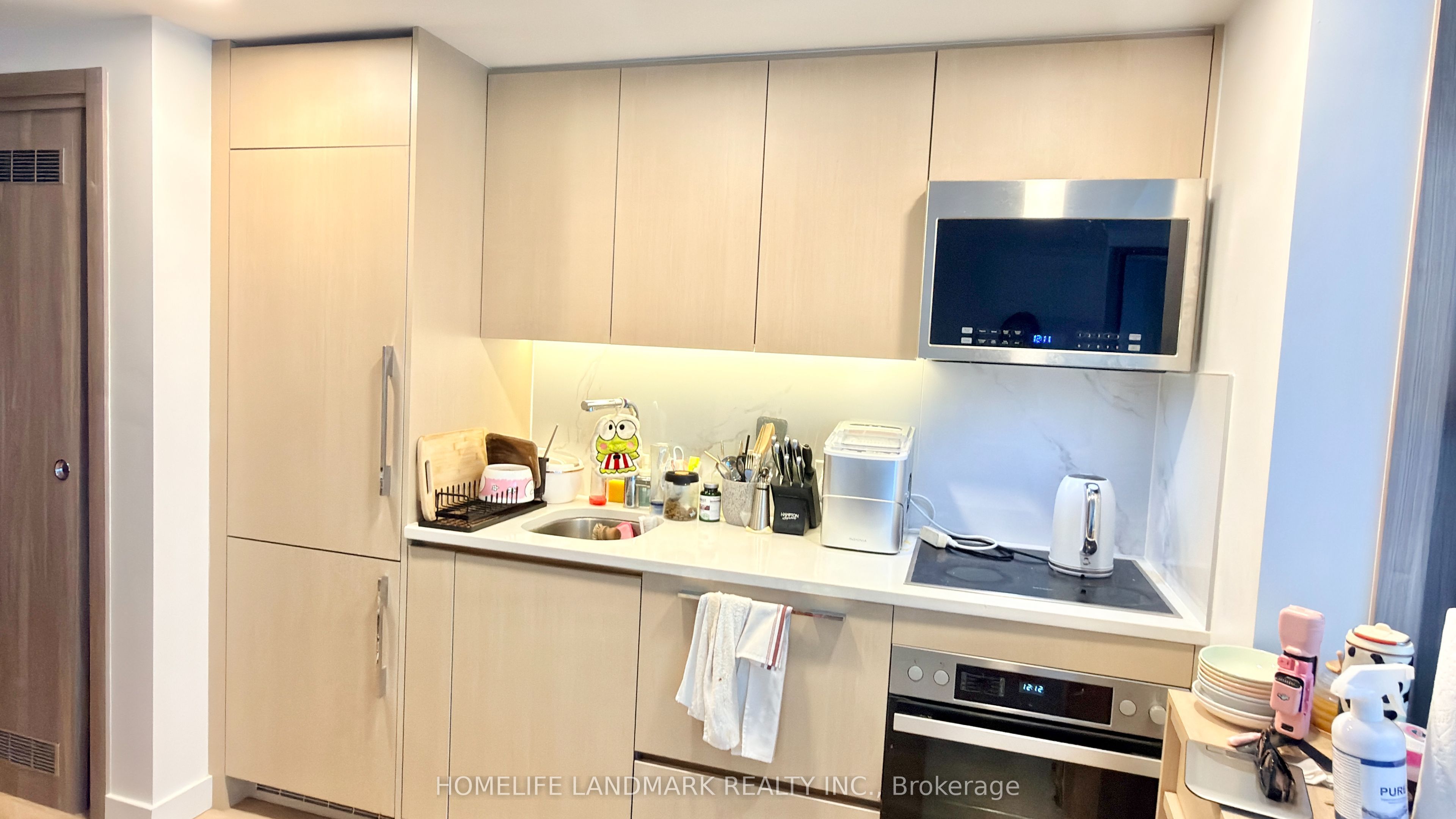 38 Widmer Street 3205, Toronto, ON M5V 0P7 photo 2