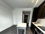 38 Iannuzzi Street 902, Toronto, ON M5V 0S2 photo 5