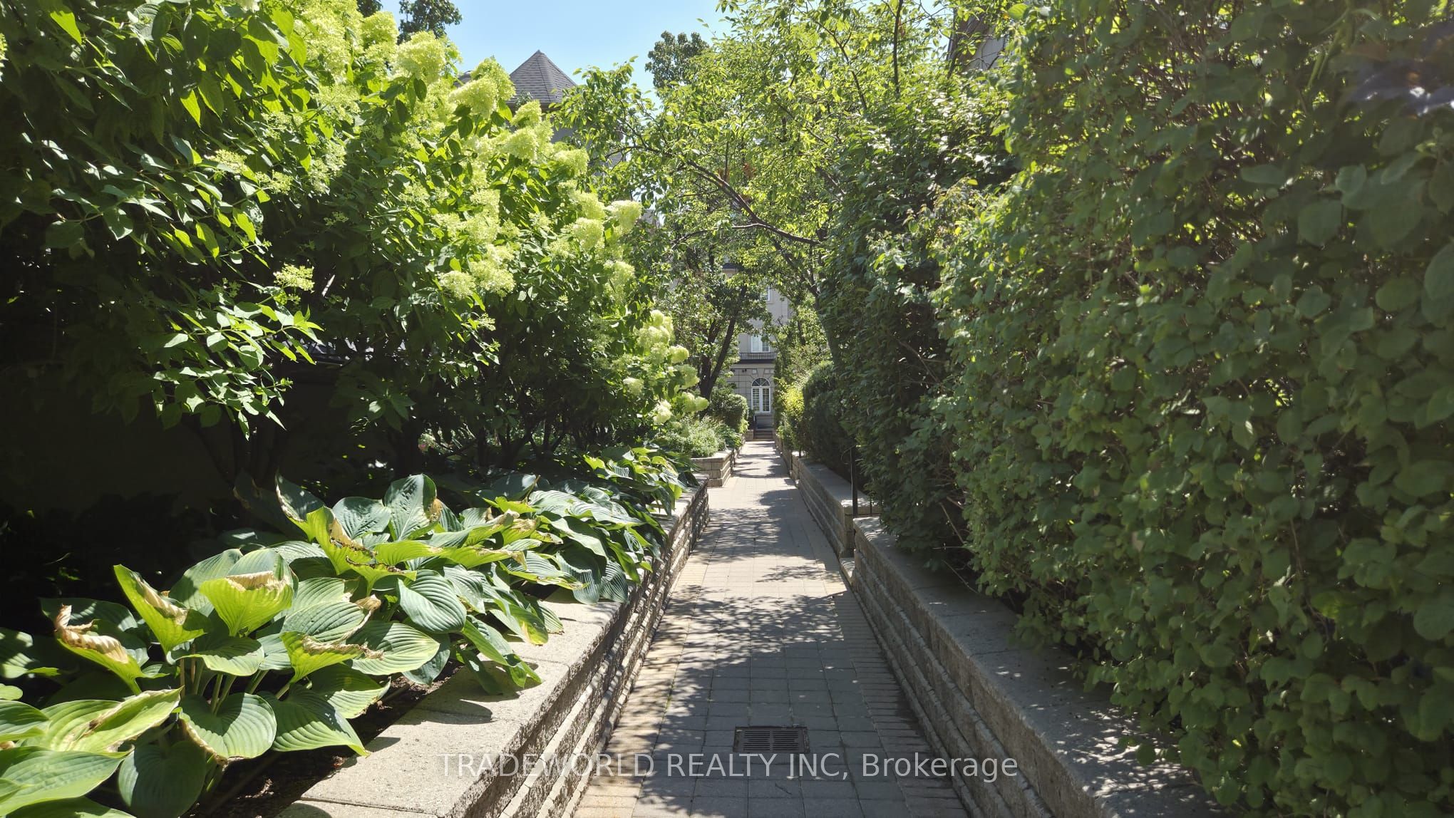 37 Avondale Avenue 513, Toronto, ON M2N 7C1 photo 3