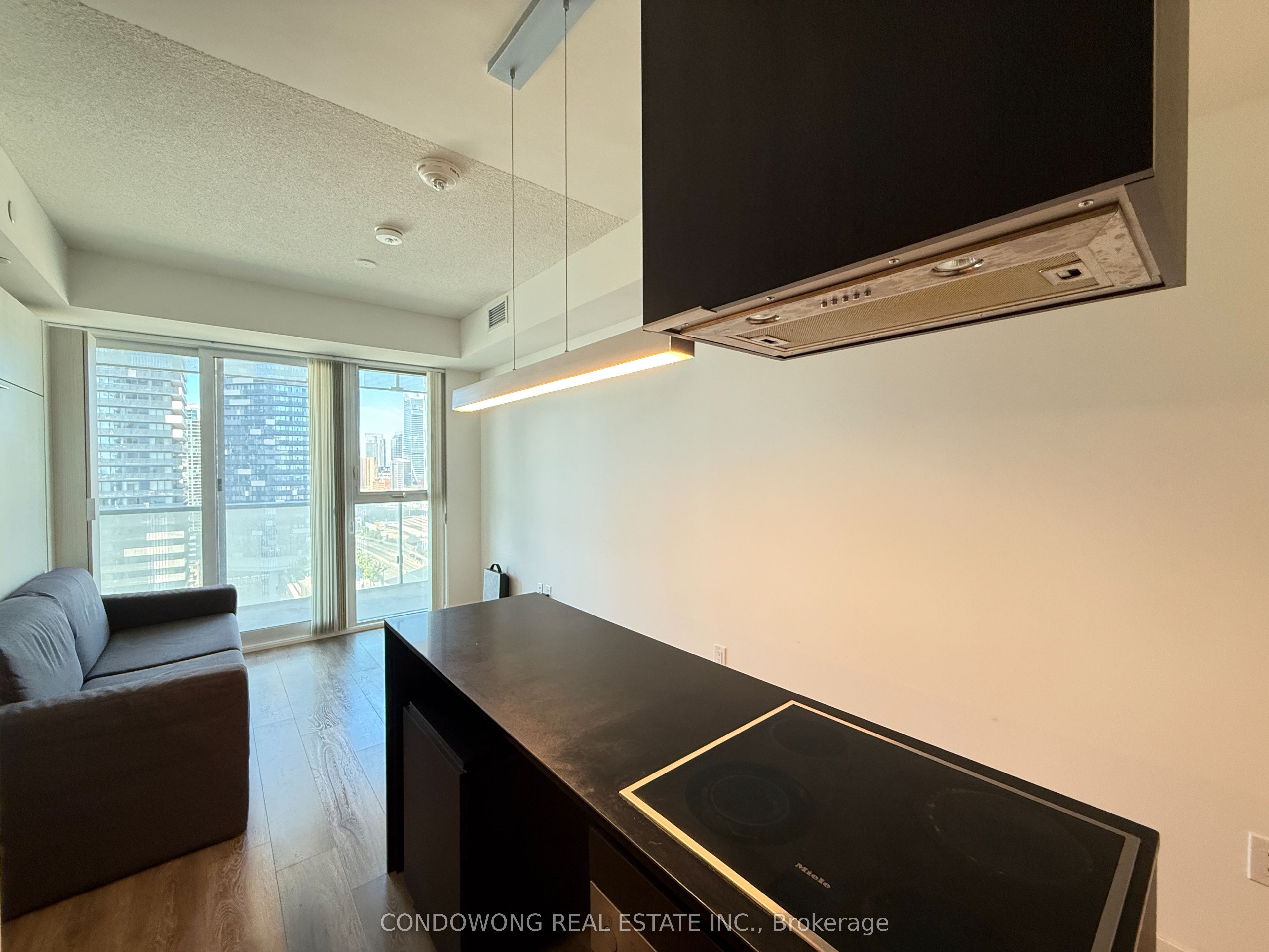15 Lower Jarvis Street 1909, Toronto, ON M5E 0C4 photo 2